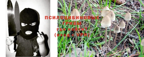 ECSTASY Алексин