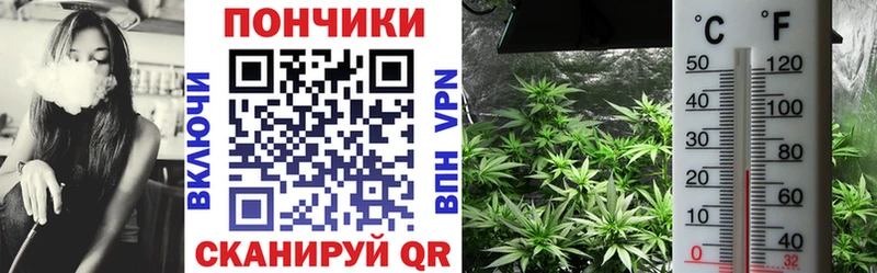Бошки Шишки ГИДРОПОН Черепаново